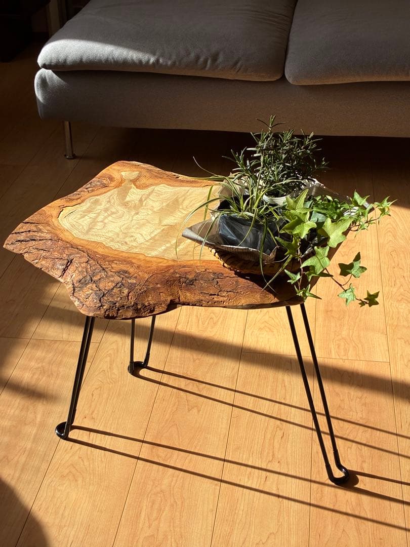 「香る癒やし」国産楠の一枚板サイドテーブル｜北欧・和モダンに合う無垢材