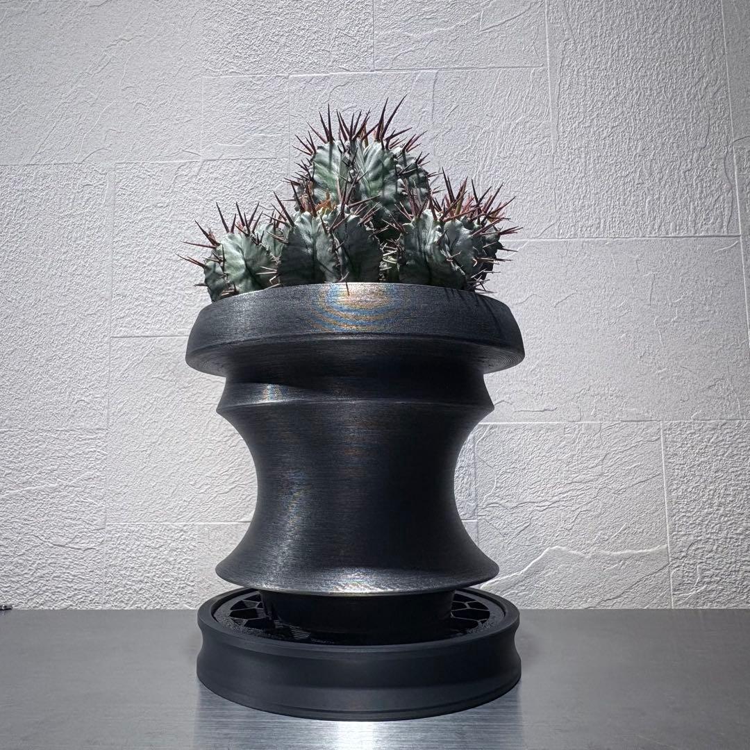 人気作品 3点セット 4号鉢 Iron Black 作家鉢 アガベ グラキリス