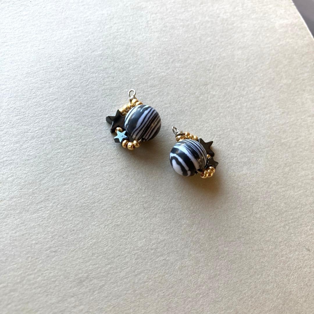 no.029 バイカラーのマラカイトとfam star