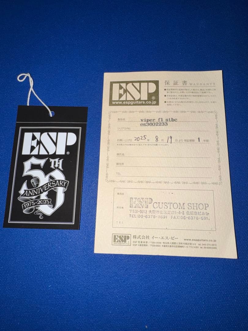 ギター E-II VIPER FL -See Thru Black Cherry