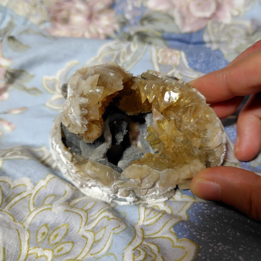 今夜限定❤貝化石カルサイト原石❤希少❤イエロー❤150g❤