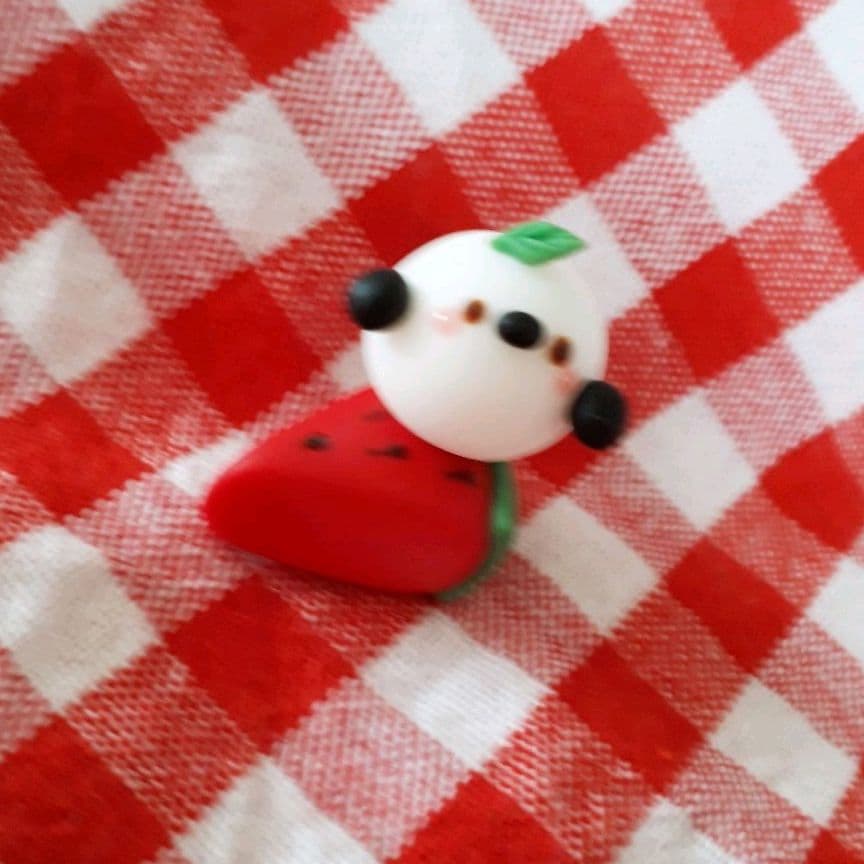 スイカにちょこん♡シマエナガ