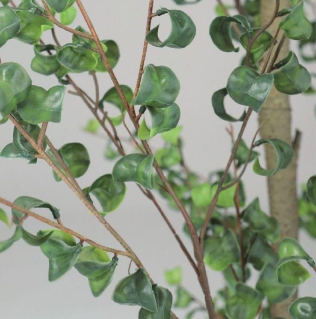 光触媒　人工観葉植物　フェイクグリーン　東北ベンジャミンバロック180