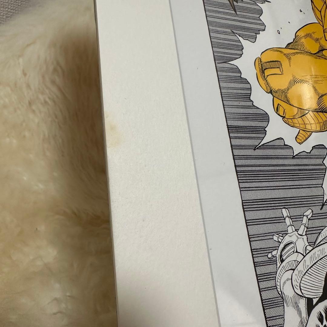 ジョジョの奇妙な冒険 第三部 DIO ディオ 複製原画 アートフレーム