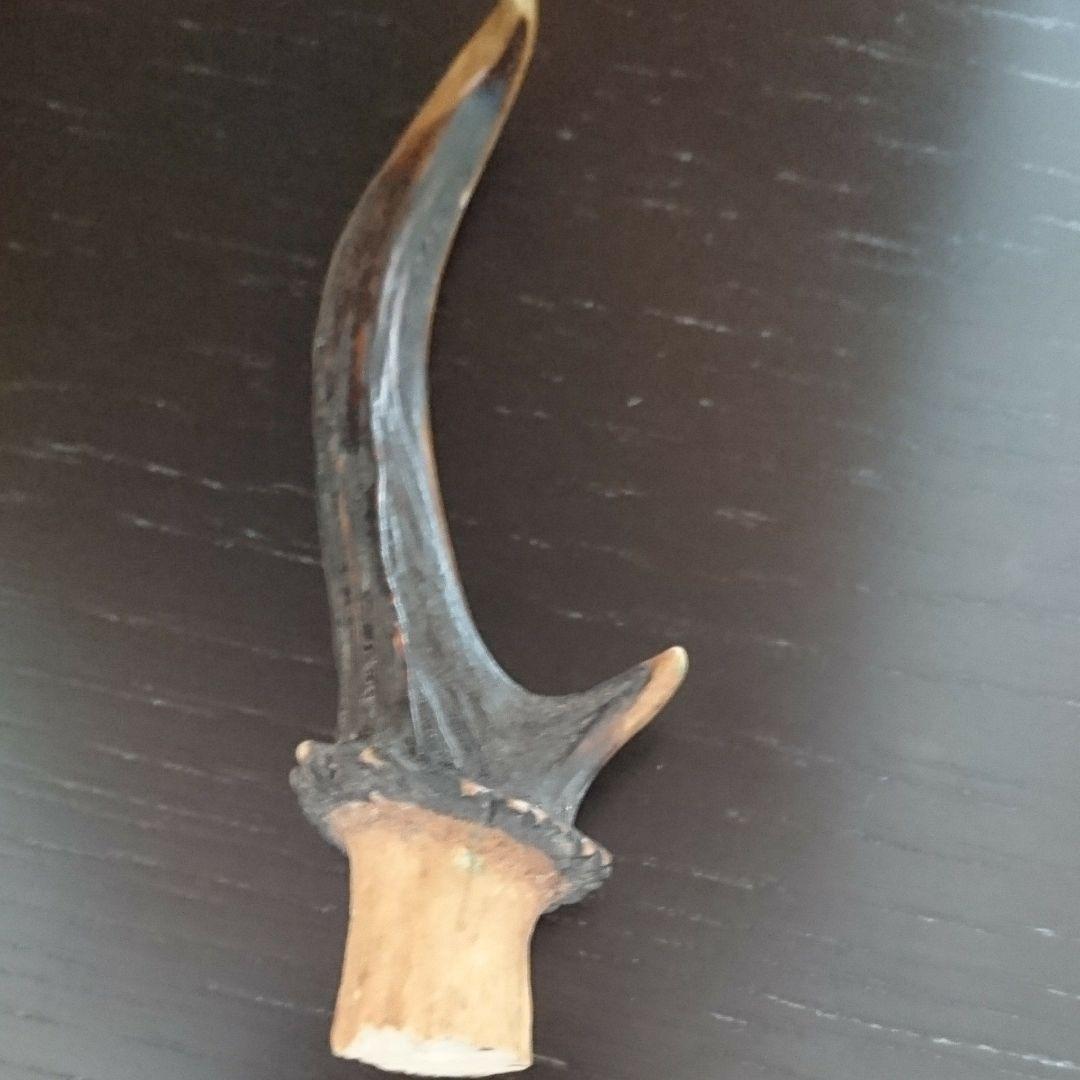 ルサ鹿の角 2本