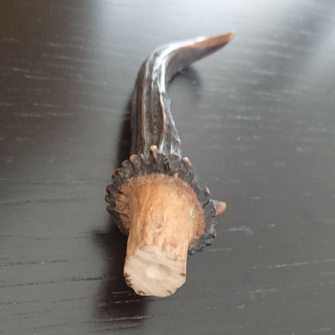 ルサ鹿の角 2本