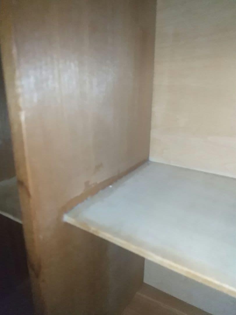 整理箱 美術用木材使用