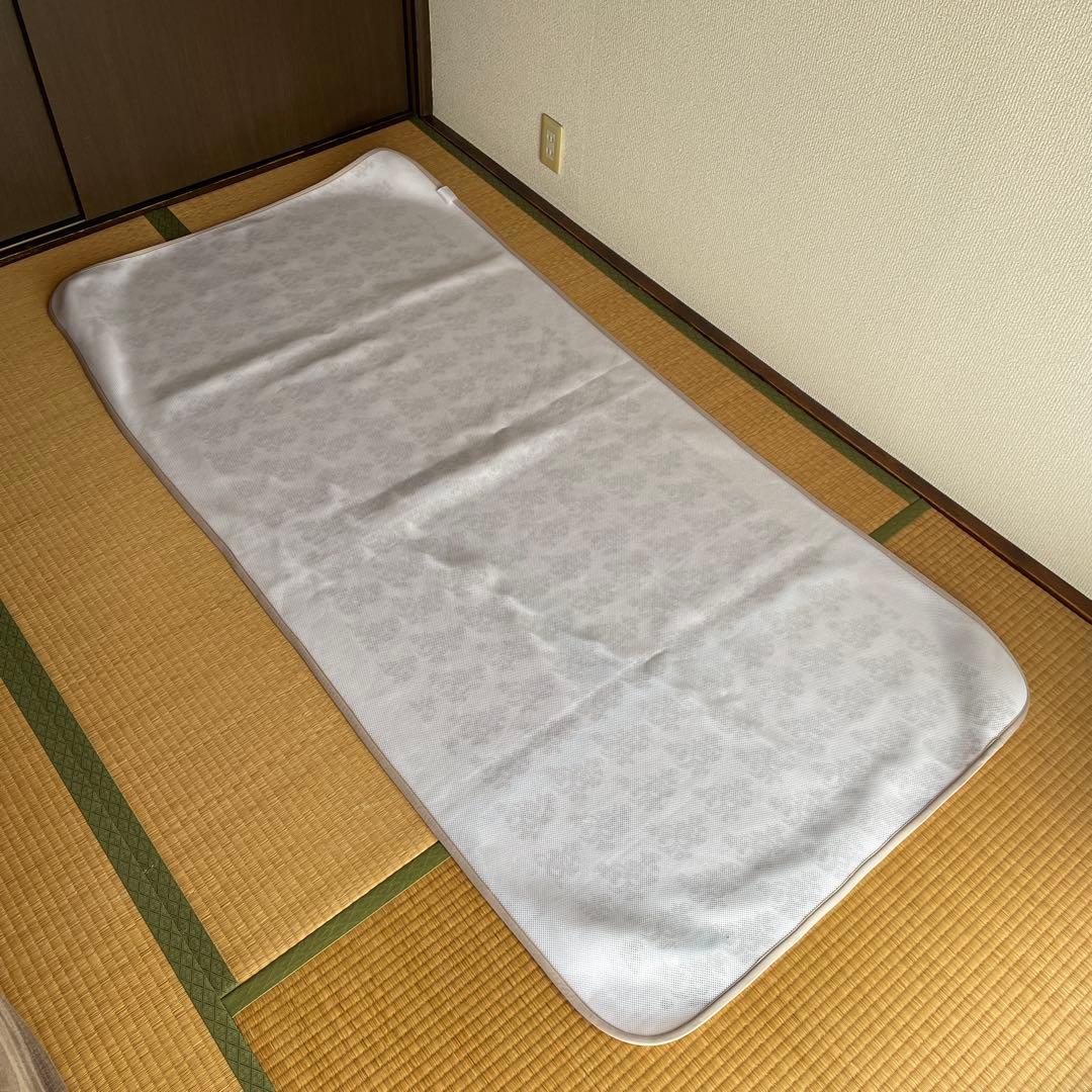 グラントイーワンズ ホルミシスシーツ 100 x 200 cm ホルミシス