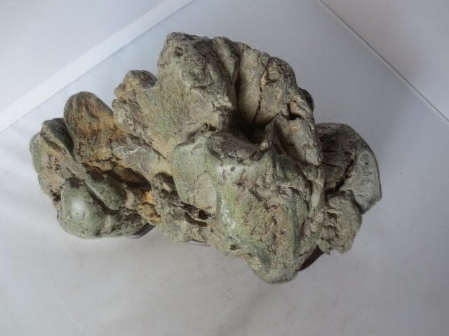 R7/07/9-1　空知川石 橋根龍石台座　紫檀台座　奇岩形状　　幅23センチ