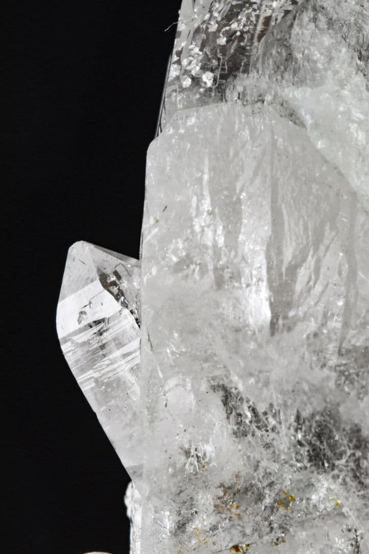 ガネーシュヒマール産 2段再成長ポイント