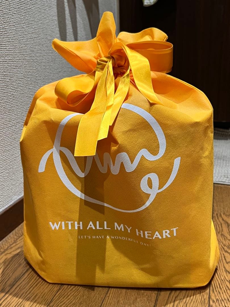 【新品・未使用】8/10購入2025年ICE×HEATERペルチェベストプロ２！