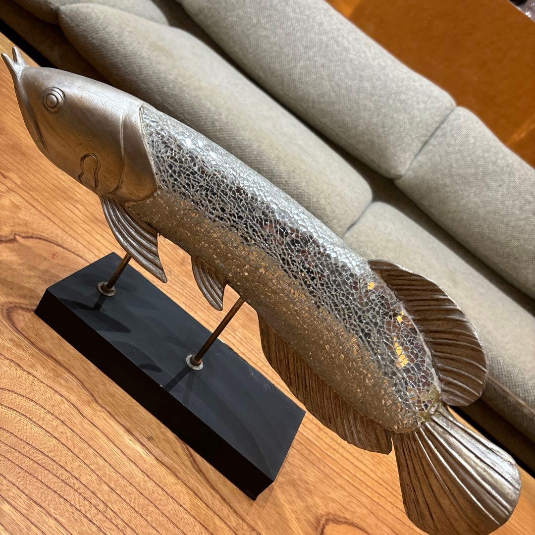 金運を呼び込む　銀色ピカピカのアロアナ