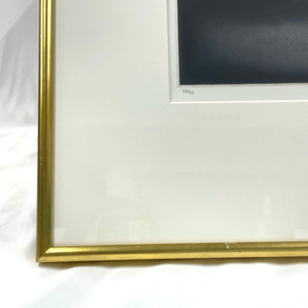 S1-M0187丹阿弥丹波子 リトグラフ 絵画 花'81 サイン付き 23／50