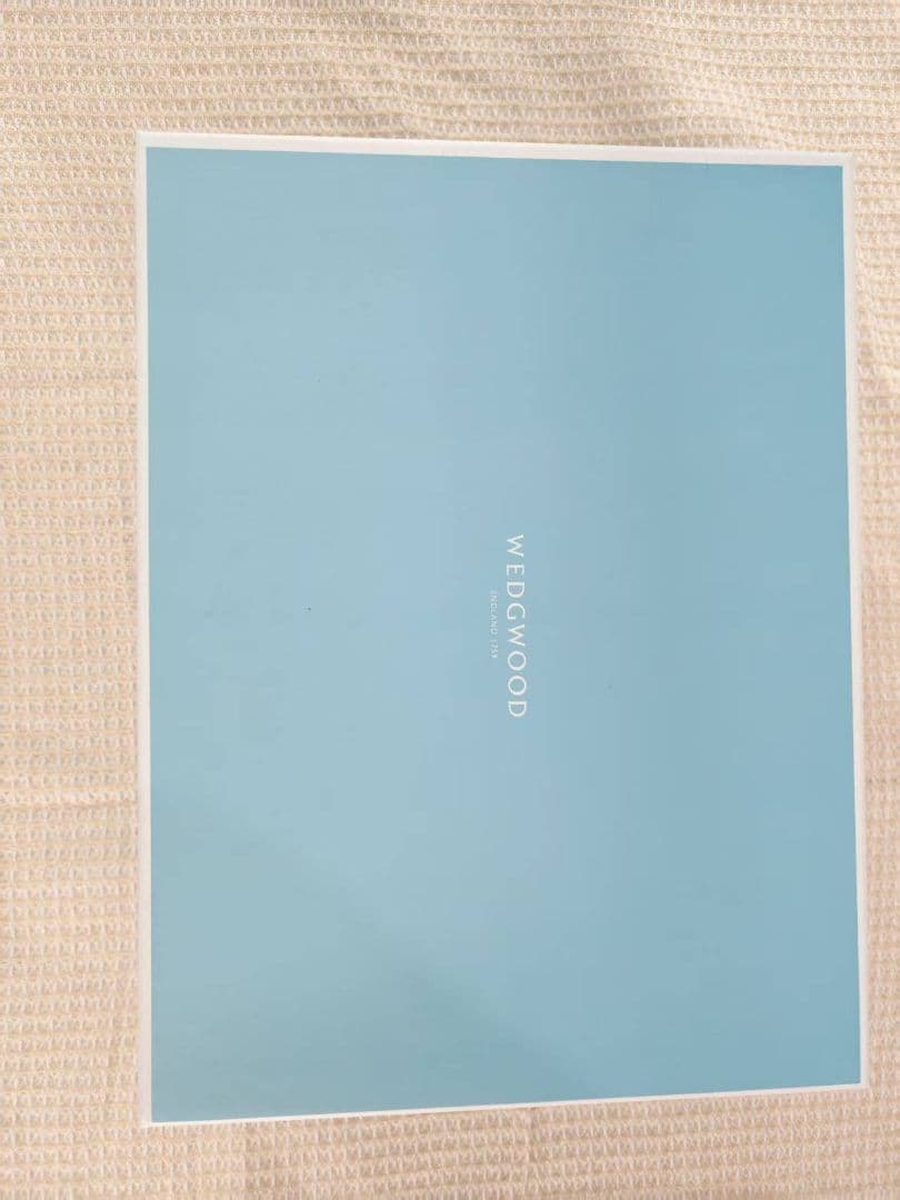  RENAISSANCE GOLD ティーカップ・ソーサーセット