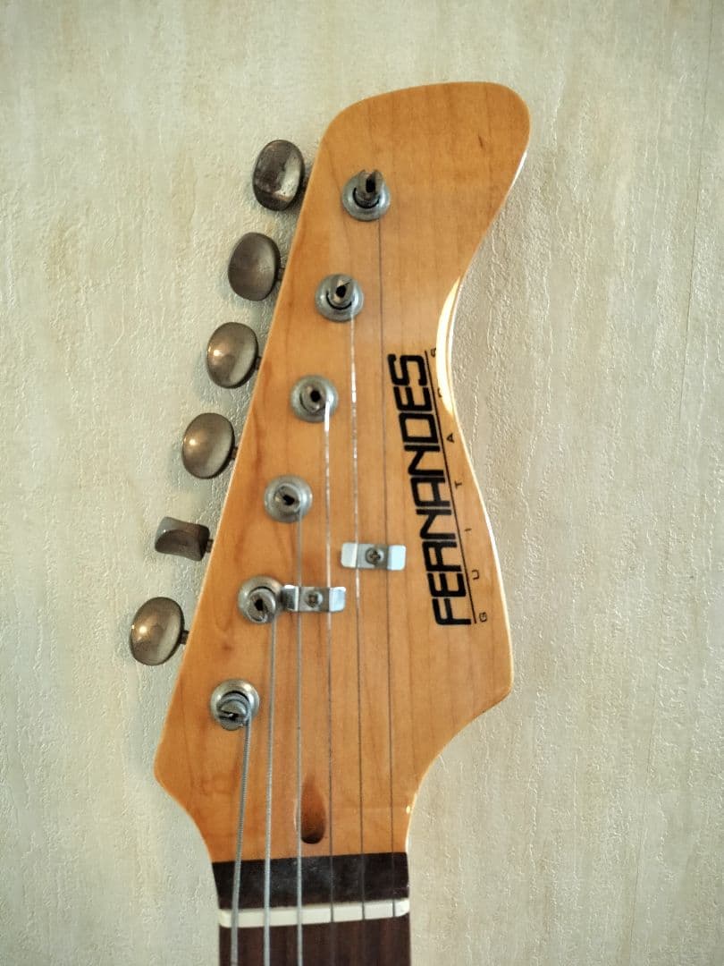 ソフトカバー付きエレキギターFERNANDES