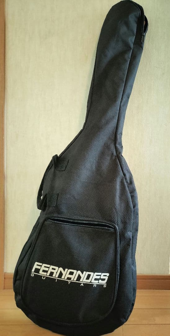 ソフトカバー付きエレキギターFERNANDES