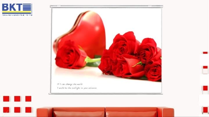 デザインロールスクリーン.横＋縦が280cmまでオーダーメイド