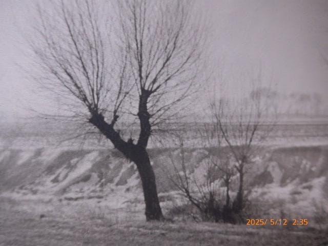 日本の写真史に必ず登場する内村皓一のオリジナルプリントです。「満州の寒い朝」