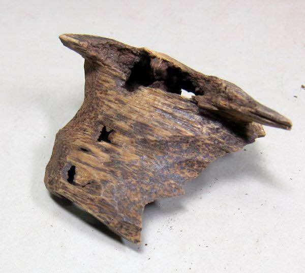 沈香 香木 伽羅 ベトナム