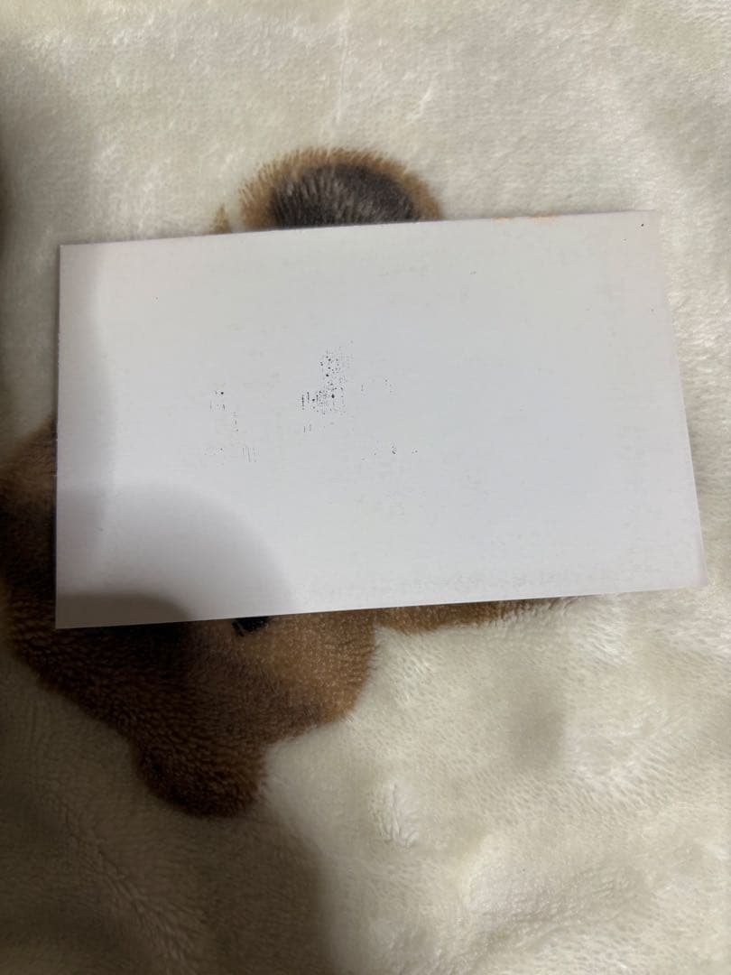 雲雀恭弥 カード ブロマイド まとめ売り