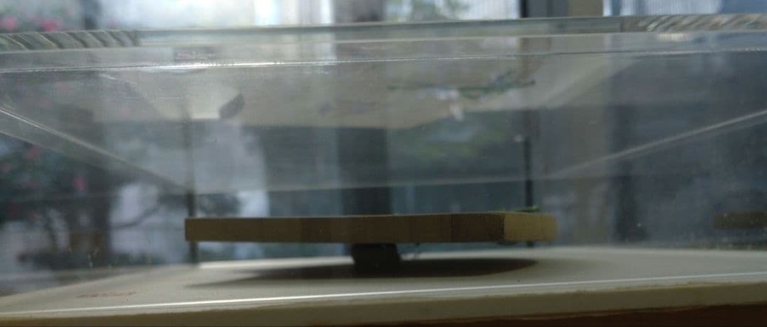 雛人形 手書き 扇形木製飾り アクリルケース入り