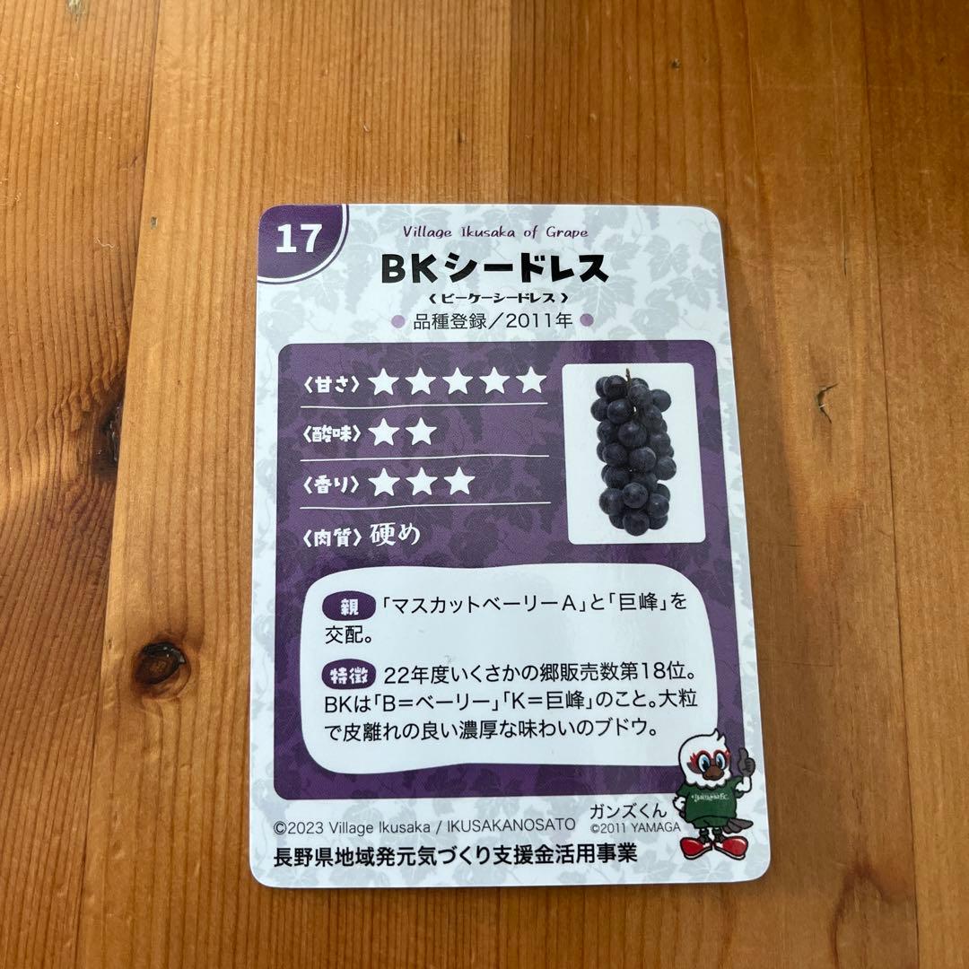長野県 生坂村 ぶどうカード 4種類 - メルカリ