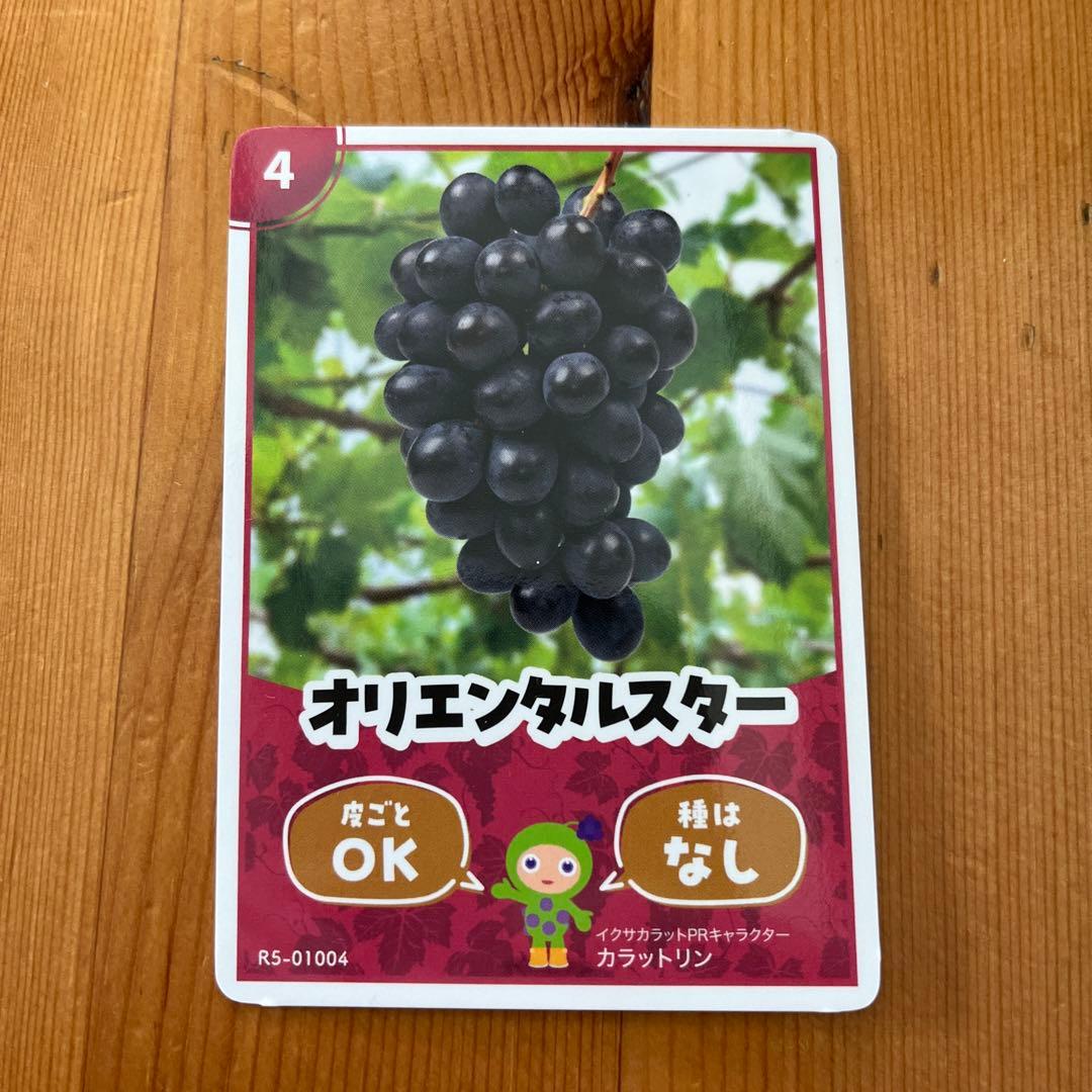 長野県 生坂村 ぶどうカード 4種類 - メルカリ