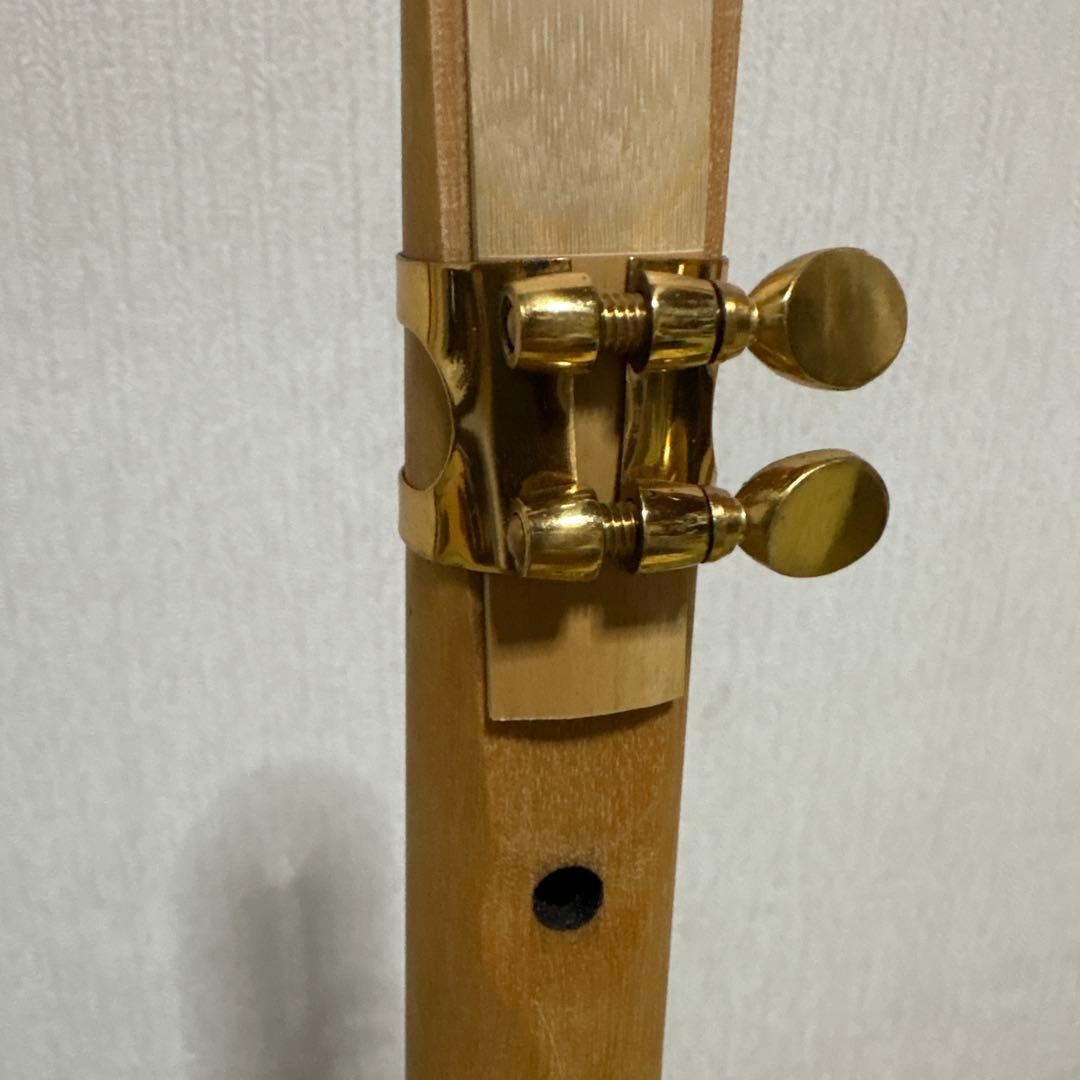 カメレオン ウッドサックス 管楽器 笛 サックス 民族楽器 リガーチャ