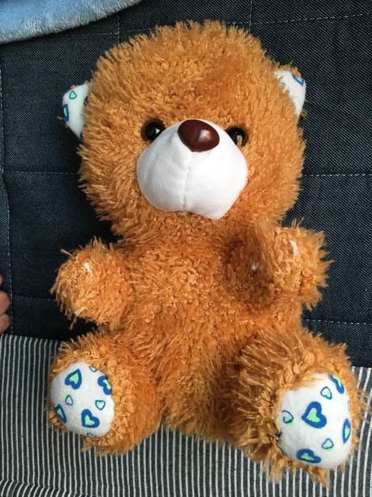 本当にやばいぬいぐるみ 71-bt5MpZRL._AC_UF350,