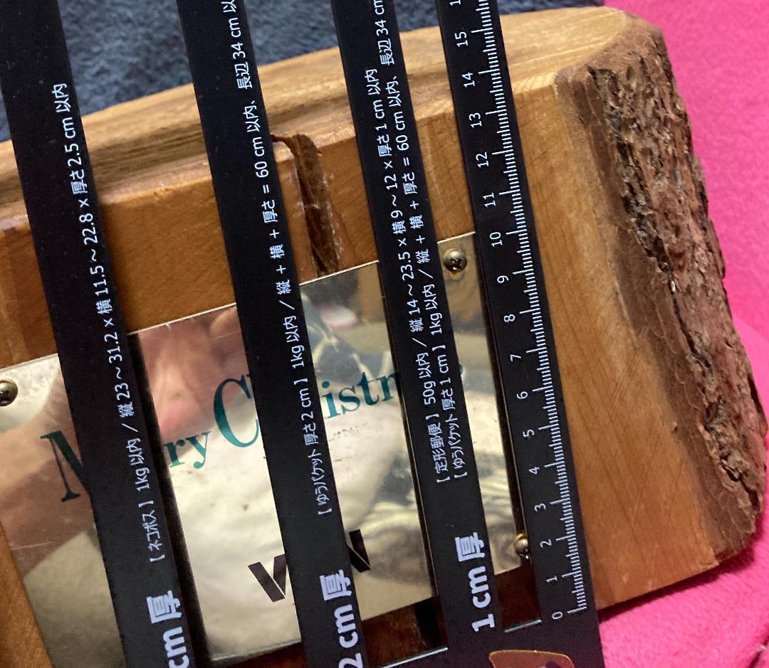 VAN JAC VAN JACKET『クリスマス 本物の切り株』ヴァン バン