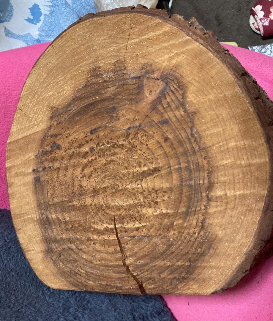 VAN JAC VAN JACKET『クリスマス 本物の切り株』ヴァン バン