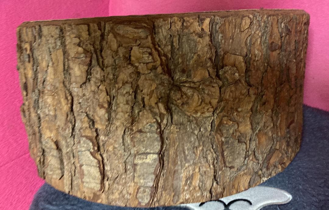 VAN JAC VAN JACKET『クリスマス 本物の切り株』ヴァン バン