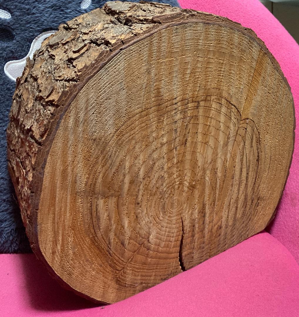 VAN JAC VAN JACKET『クリスマス 本物の切り株』ヴァン バン