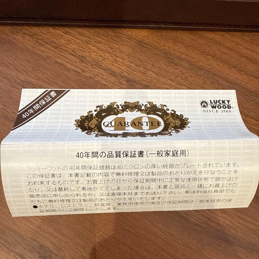 LUCKYWOOD スプーン 6本セット 40ミクロン 銀 シルバー - メルカリ