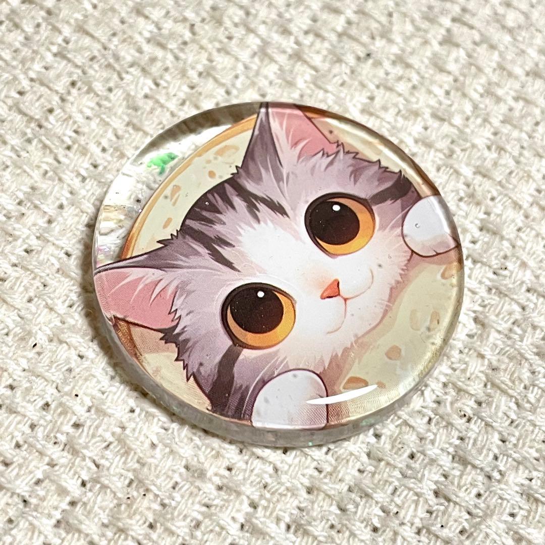 2558. 【大】レジンポニーフック・ヘアゴム・ブローチ・マグネット