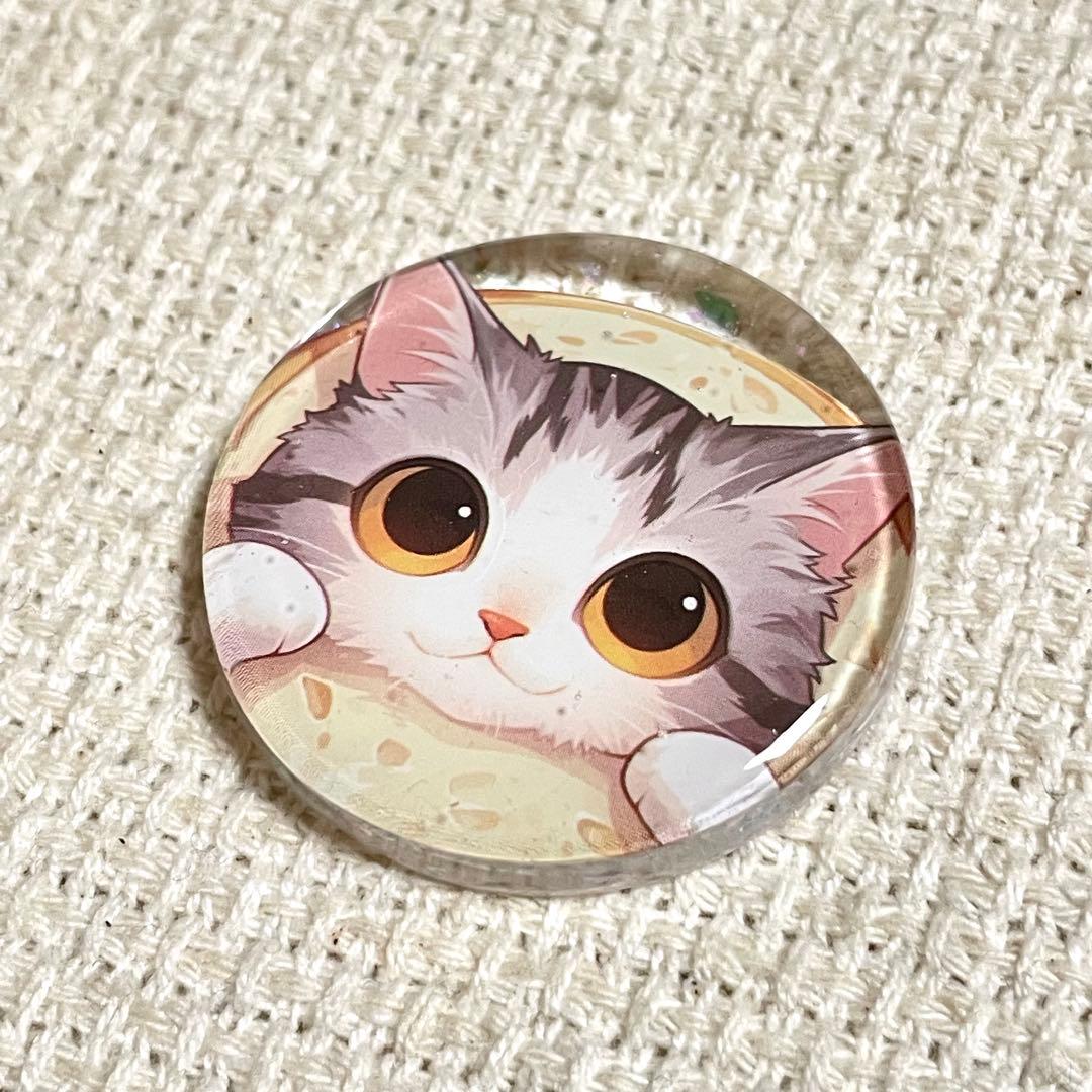 2558. 【大】レジンポニーフック・ヘアゴム・ブローチ・マグネット