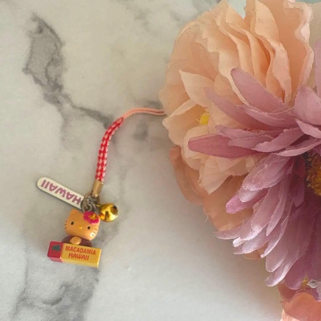 ご当地キティ ハワイ限定 ハロウィンキティストラップ - メルカリ