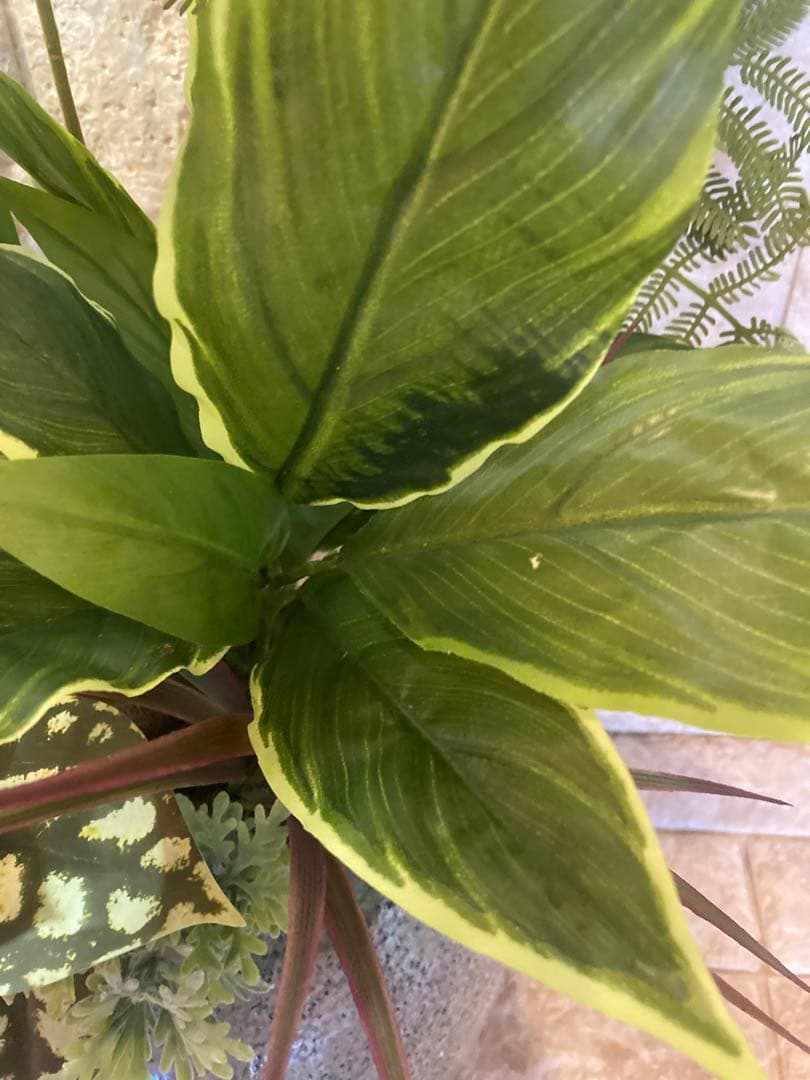 光触媒　人工観葉植物　モンステラ　フェイクグリーン　スプリットアレンジ10ne