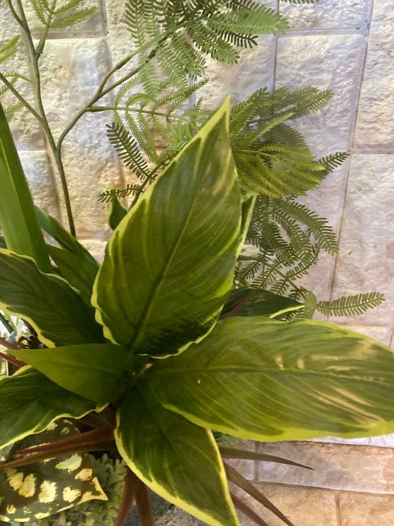 光触媒　人工観葉植物　モンステラ　フェイクグリーン　スプリットアレンジ10ne