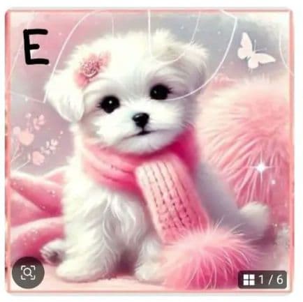 ♥むっち♥ ♡♬.*゜様　オーダーページ　5/29