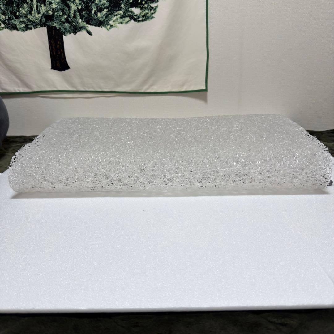 ✨美品/一月弱使用✨ブレインスリープピロー スタンダード 専用カバー付(洗濯済)