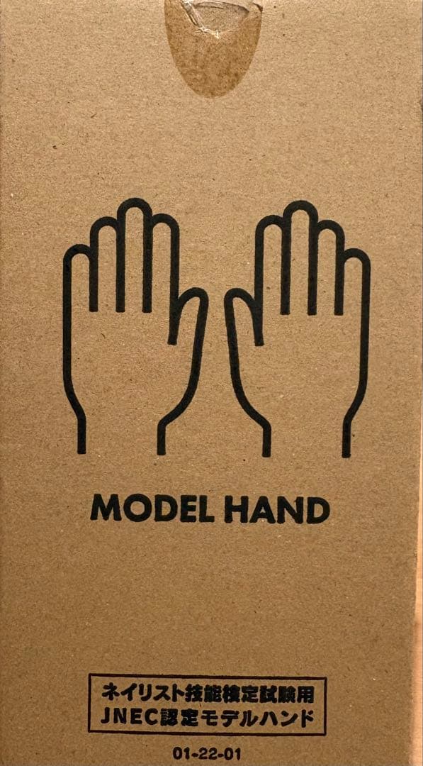 JNEC認定モデルハンド 骨折なし