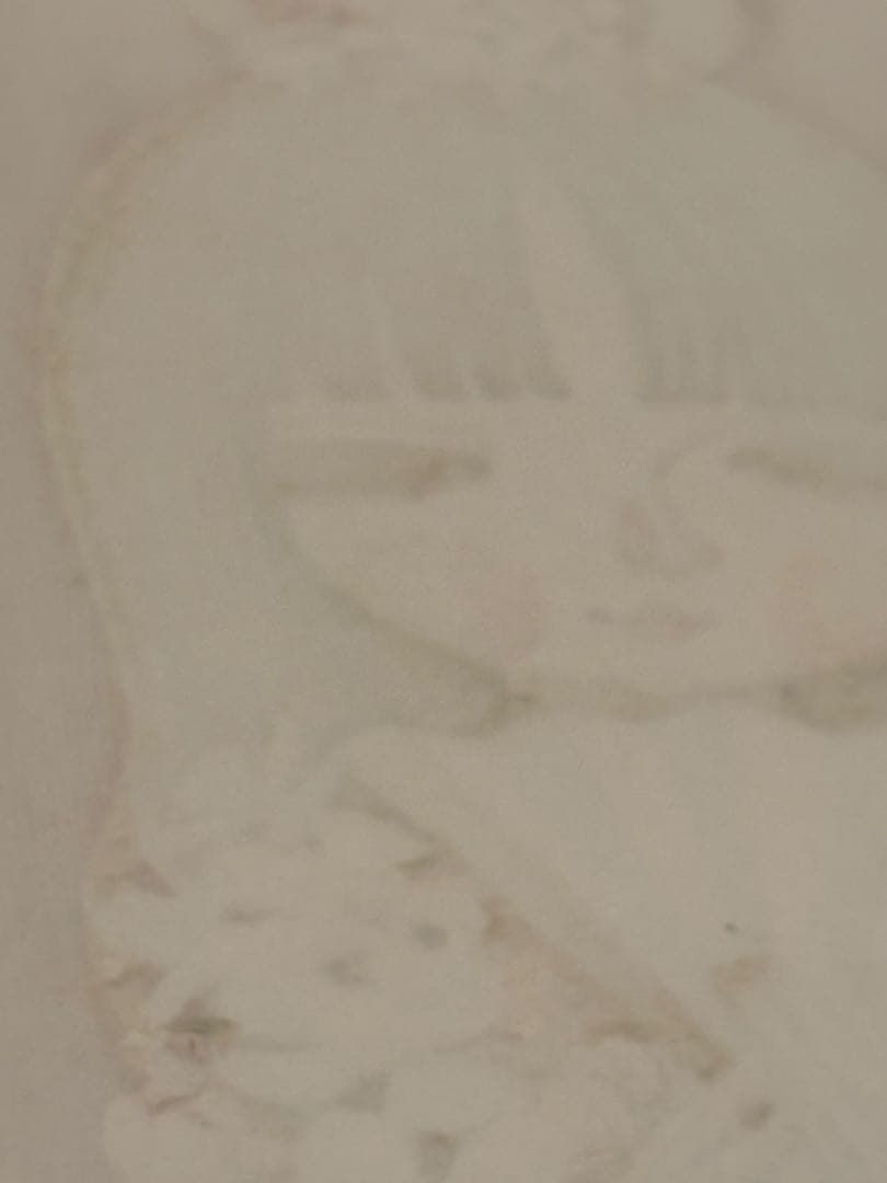 真作保証　池田修三　木版画　「おひなさま」直筆サイン入り　1984年