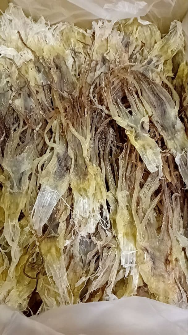 と*ろ様 【大容量:10kg 】ダイエットにも最適な大好評珍味 真イカするめS足