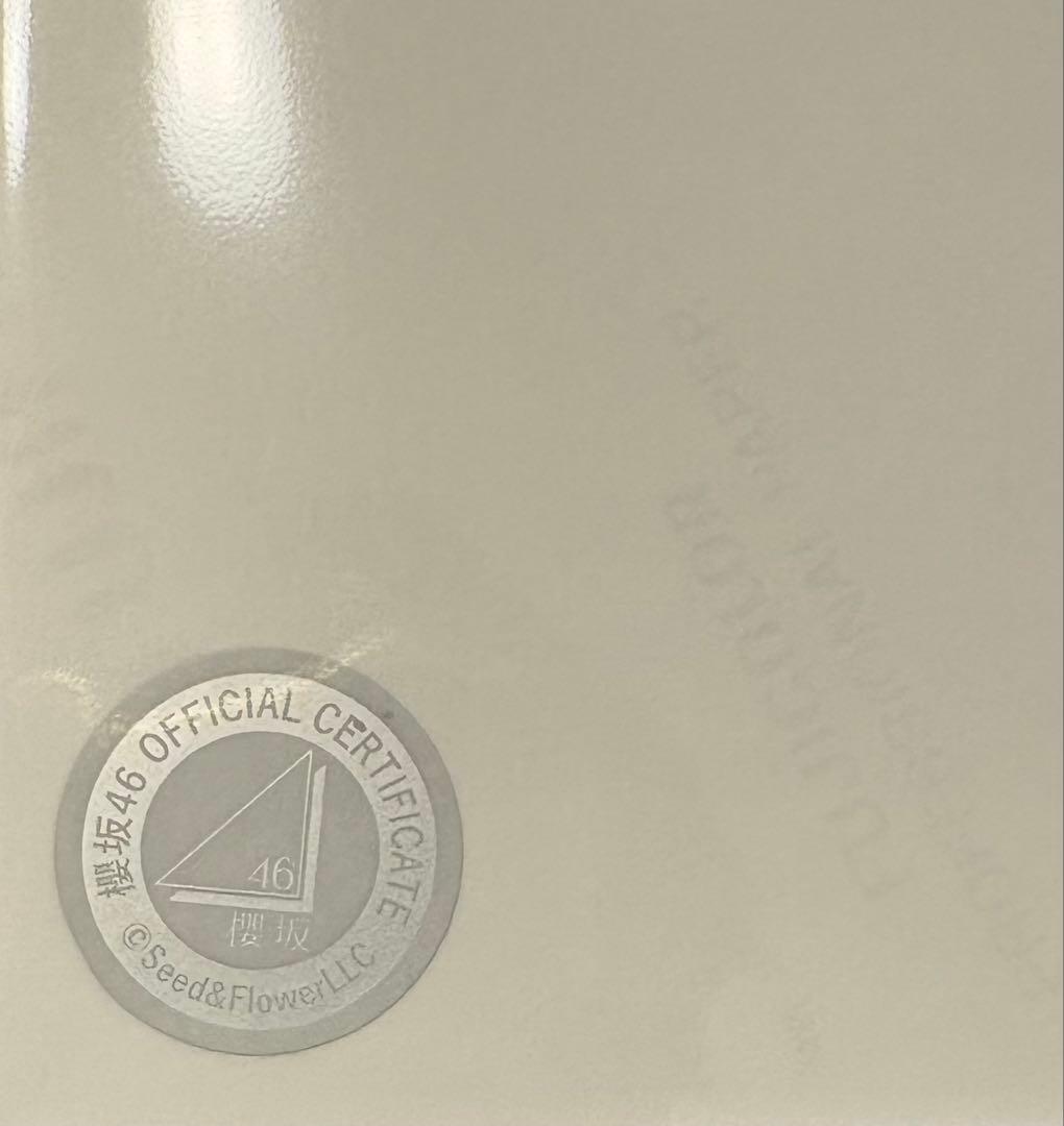 櫻坂46 山﨑天 直筆サイン入り生写真 4thアニラ ライブ ヨリ - メルカリ