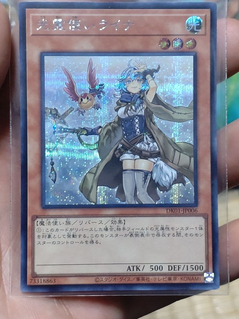 遊戯王 霊使い 絵違い 決闘者の王国スターチップ シークレット6種