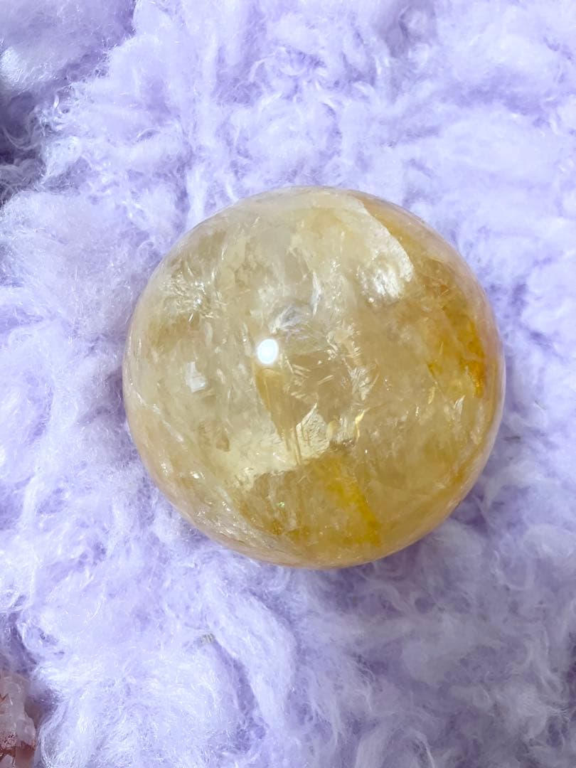 ゴールデンヒーラー①