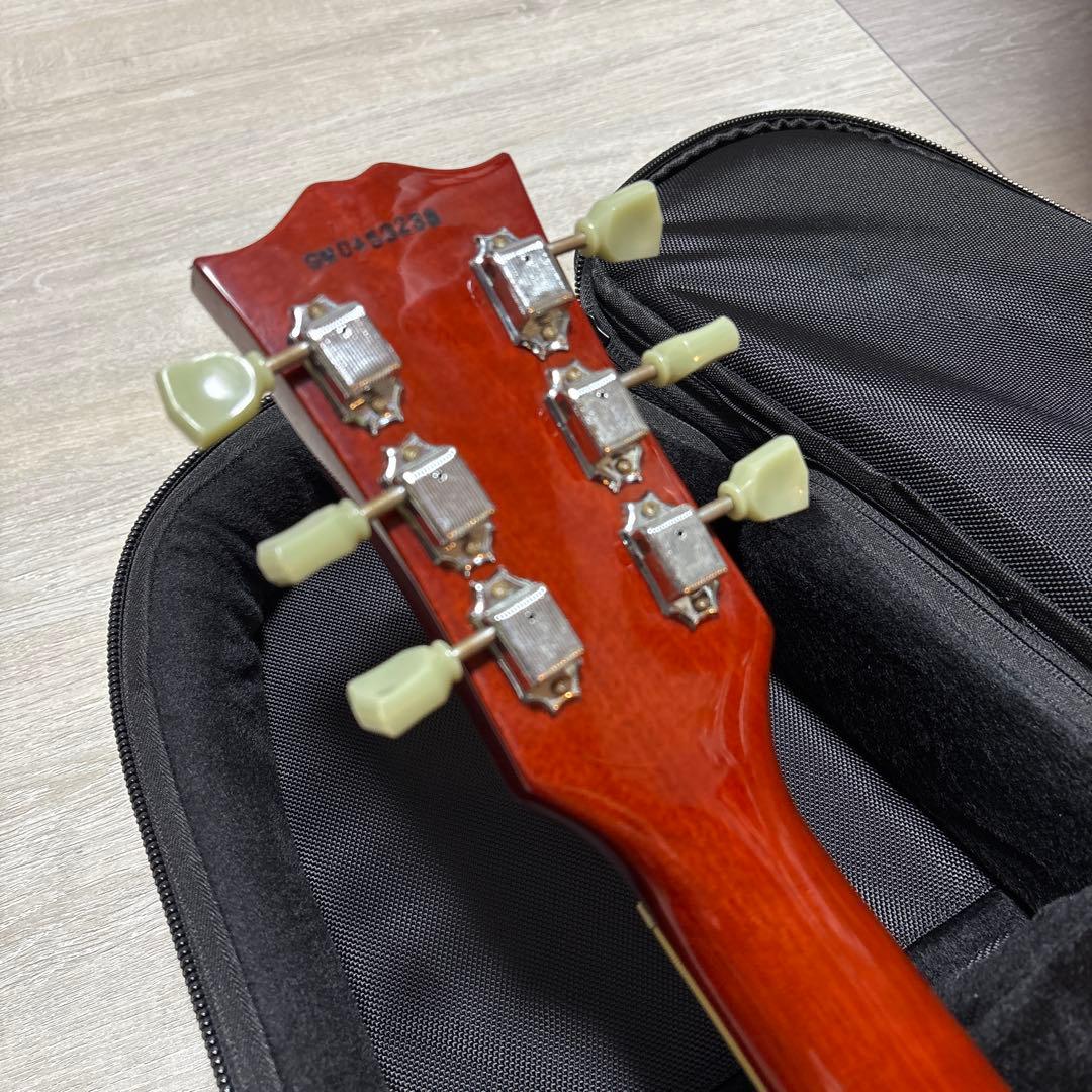 Grass Roots Limited Model レスポール