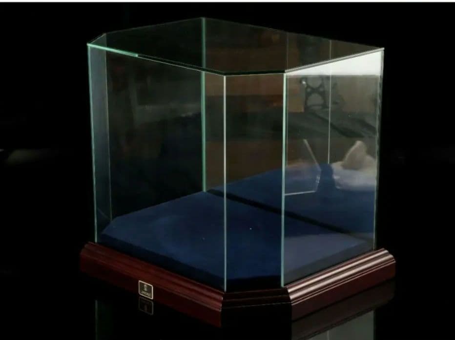 リヤドロ　ガラスケース