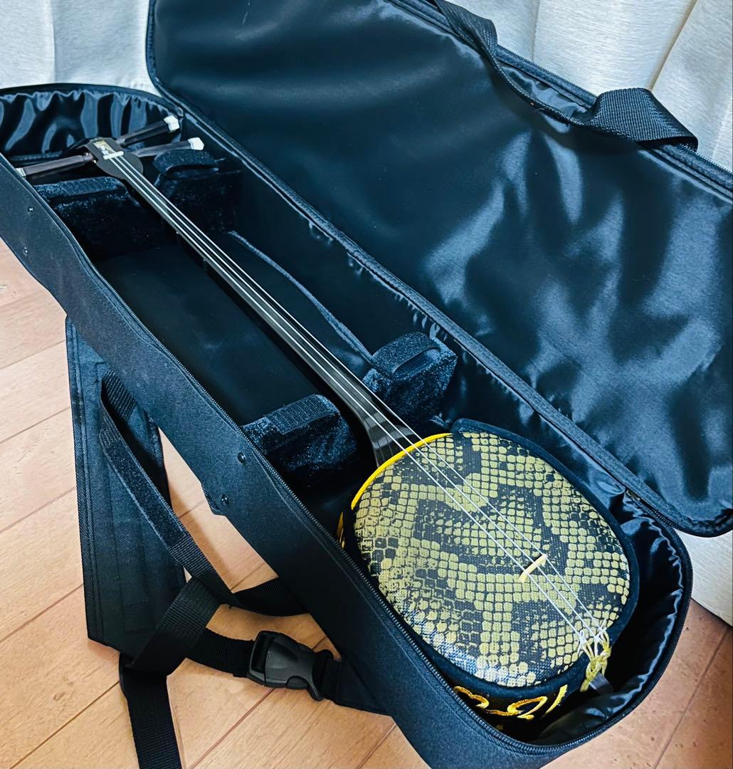 極美品⭐︎沖縄三線 人工革 入門セット ソフトケース付 付属品 多数